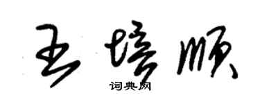 朱锡荣王培顺草书个性签名怎么写