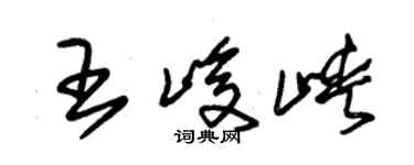 朱锡荣王峻峡草书个性签名怎么写