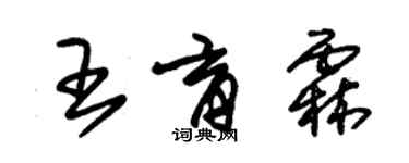 朱锡荣王育霖草书个性签名怎么写