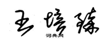朱锡荣王培臻草书个性签名怎么写