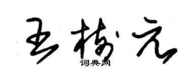 朱锡荣王树元草书个性签名怎么写