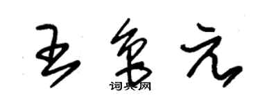 朱锡荣王鲁元草书个性签名怎么写