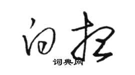 骆恒光白想草书个性签名怎么写