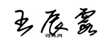 朱锡荣王辰霞草书个性签名怎么写