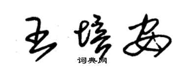朱锡荣王培安草书个性签名怎么写