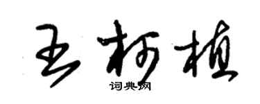 朱锡荣王柯植草书个性签名怎么写