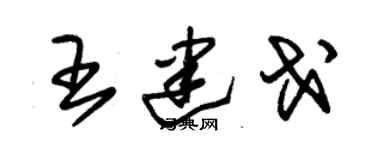 朱锡荣王建戈草书个性签名怎么写
