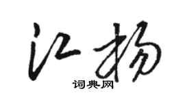 骆恒光江杨草书个性签名怎么写