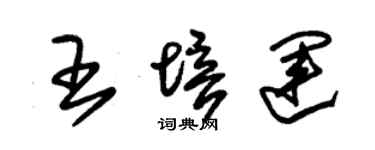 朱锡荣王培运草书个性签名怎么写