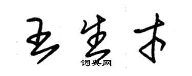 朱锡荣王生才草书个性签名怎么写
