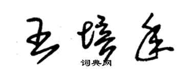 朱锡荣王培年草书个性签名怎么写