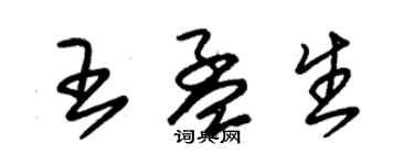 朱锡荣王孟生草书个性签名怎么写