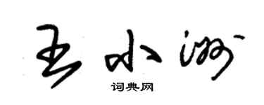 朱锡荣王小洲草书个性签名怎么写
