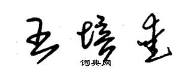 朱锡荣王培爱草书个性签名怎么写