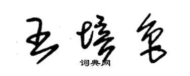 朱锡荣王培鲁草书个性签名怎么写