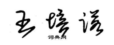 朱锡荣王培诺草书个性签名怎么写