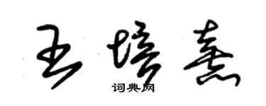 朱锡荣王培熹草书个性签名怎么写