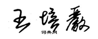 朱锡荣王培严草书个性签名怎么写