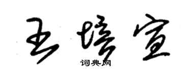 朱锡荣王培宣草书个性签名怎么写