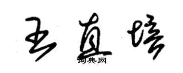朱锡荣王直培草书个性签名怎么写