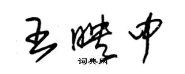 朱锡荣王映中草书个性签名怎么写