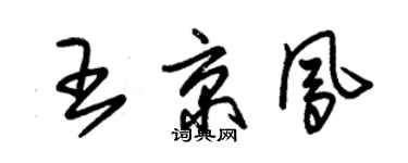 朱锡荣王京凤草书个性签名怎么写