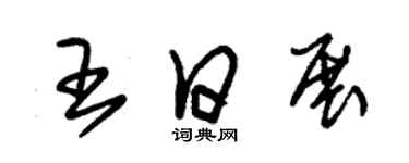 朱锡荣王日展草书个性签名怎么写