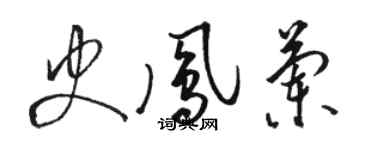 骆恒光史凤兰草书个性签名怎么写