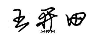 朱锡荣王开田草书个性签名怎么写