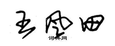 朱锡荣王风田草书个性签名怎么写