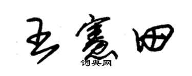 朱锡荣王宪田草书个性签名怎么写