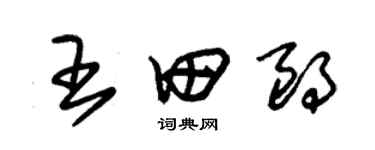 朱锡荣王田朗草书个性签名怎么写