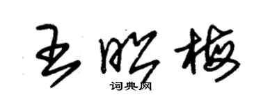 朱锡荣王昭梅草书个性签名怎么写