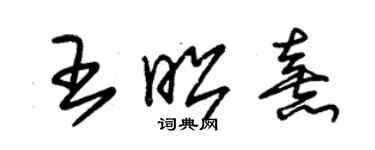 朱锡荣王昭熹草书个性签名怎么写