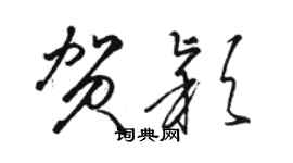 骆恒光贺颖草书个性签名怎么写