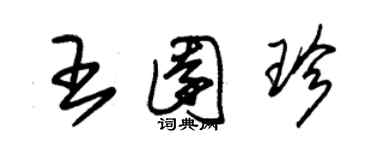 朱锡荣王园珍草书个性签名怎么写