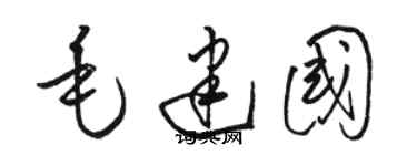 骆恒光毛建国草书个性签名怎么写