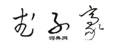骆恒光武子豪草书个性签名怎么写