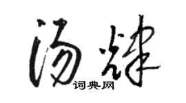 骆恒光汤辉草书个性签名怎么写