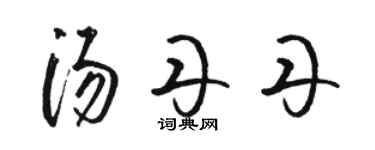 骆恒光汤丹丹草书个性签名怎么写