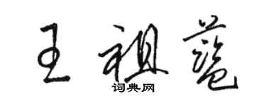 骆恒光王祖蓝草书个性签名怎么写