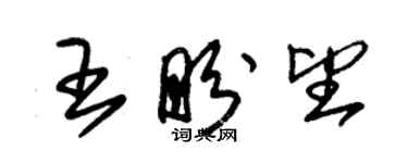 朱锡荣王盼望草书个性签名怎么写