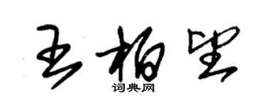 朱锡荣王柏望草书个性签名怎么写