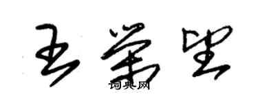 朱锡荣王荣望草书个性签名怎么写