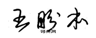 朱锡荣王盼本草书个性签名怎么写