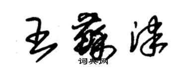 朱锡荣王苏津草书个性签名怎么写