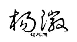 曾庆福杨徽草书个性签名怎么写