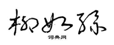 曾庆福柳如丝草书个性签名怎么写