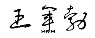 曾庆福王军勃草书个性签名怎么写
