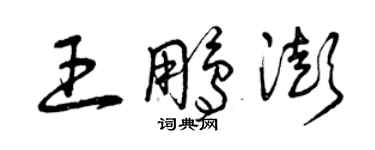 曾庆福王鹏澎草书个性签名怎么写